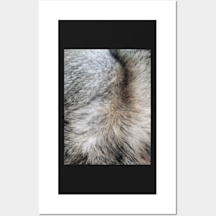 Rabbit fur effect Posters and Art